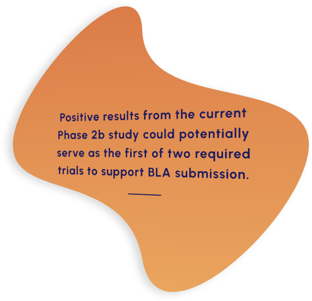 Positive results from the current Phase 2b study could serve as the first of two required trials to support BLA submission.