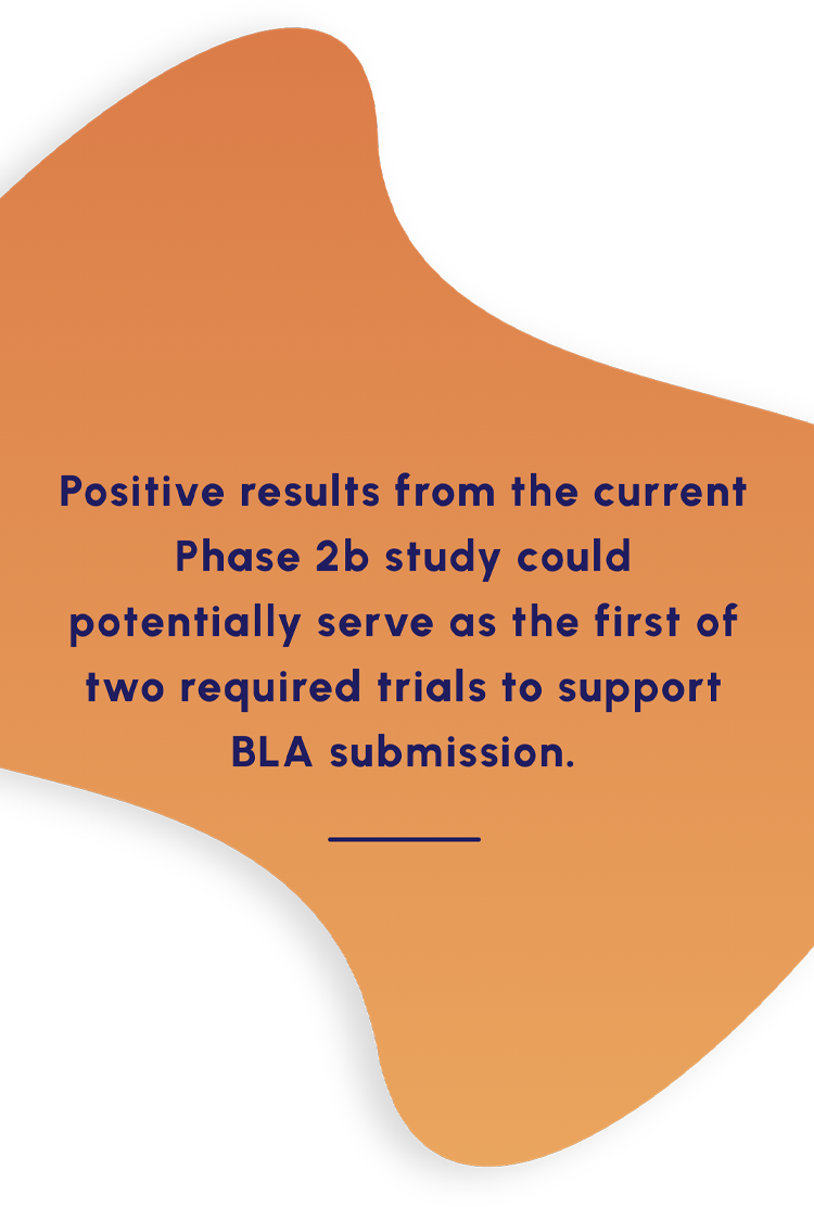 Positive results from the current Phase 2b study could serve as the first of two required trials to support BLA submission.