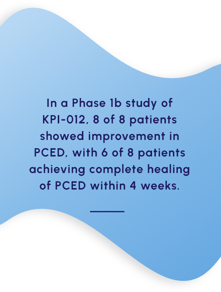 In a Phase 1b study of KPI-012