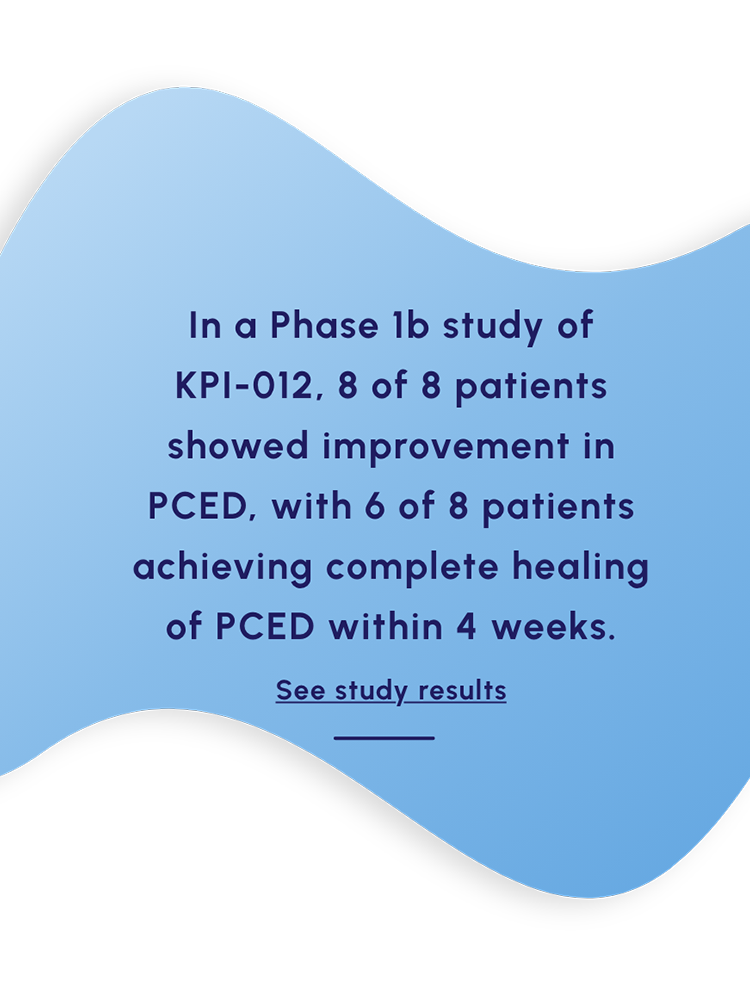 In a Phase 1b study of KPI-012