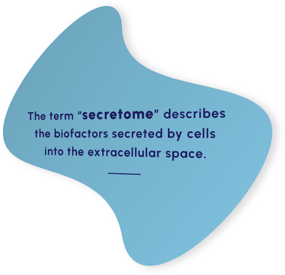 The term secretome describes the biofactors secreted by cells into the extracellular space.